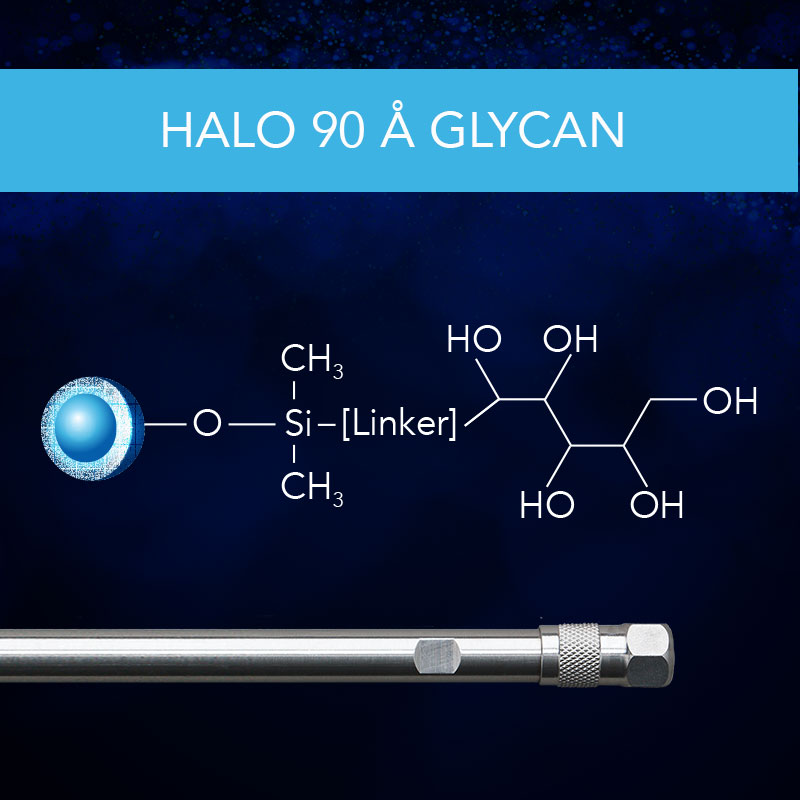 HALO® 90 Å Glycan - HILIC Glycan Analysis & Glycan Mapping
