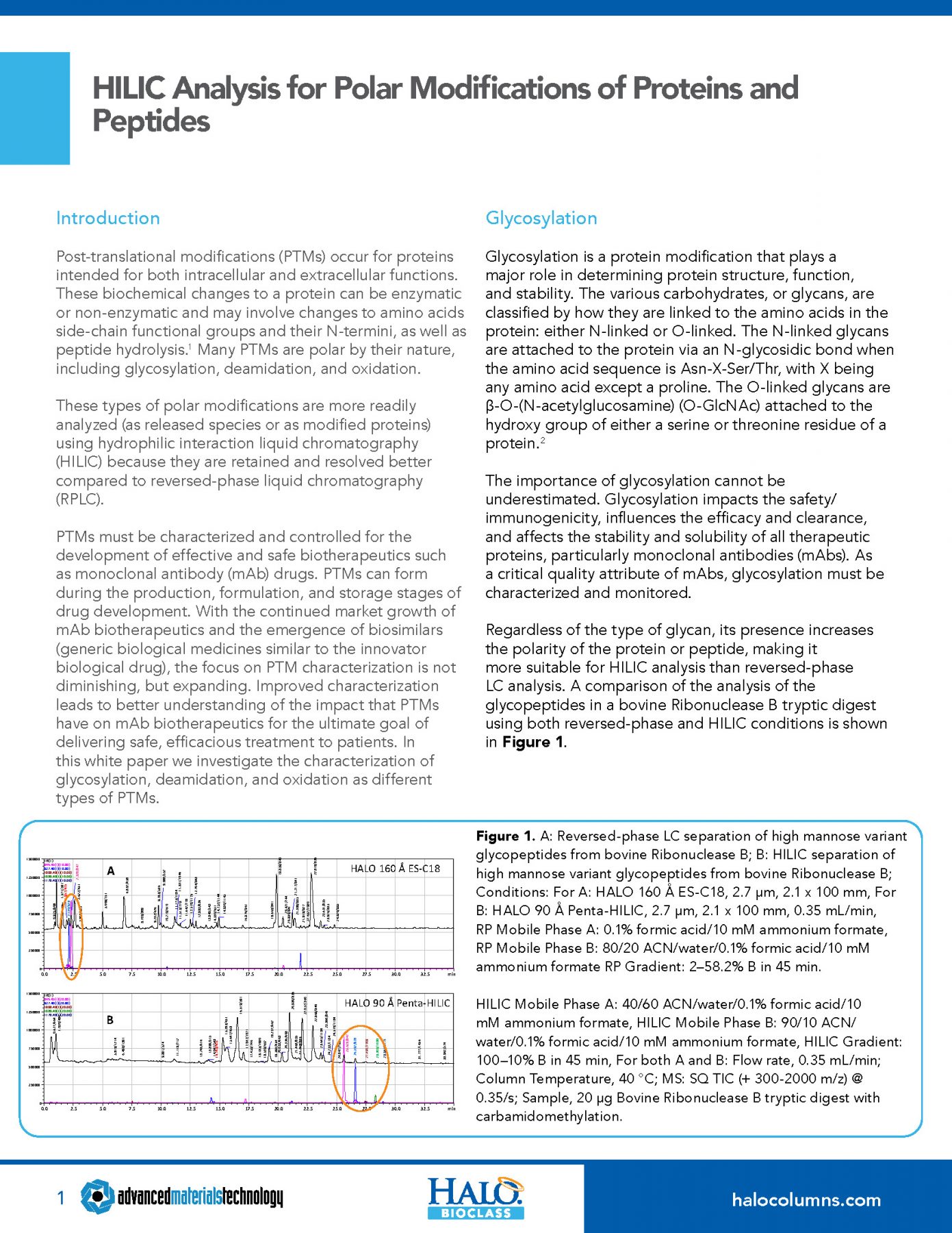 hilic analysis for polar modifications of proteins and peptides